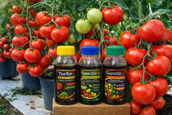 Золота лінійка мікродобрив GumiSil Trio для городу 4