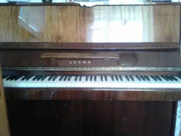 Піаніно Деснa 2
